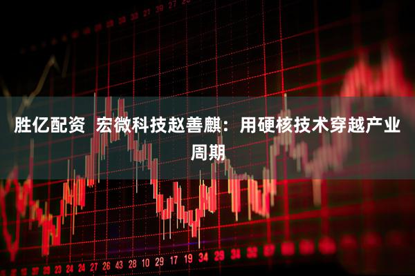 胜亿配资  宏微科技赵善麒：用硬核技术穿越产业周期