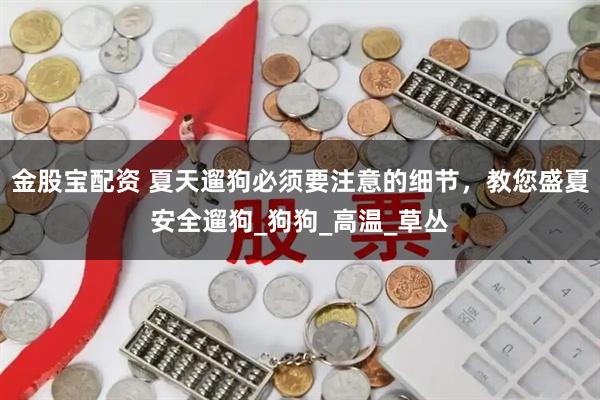 金股宝配资 夏天遛狗必须要注意的细节，教您盛夏安全遛狗_狗狗_高温_草丛