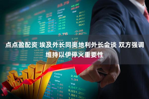 点点盈配资 埃及外长同奥地利外长会谈 双方强调维持以伊停火重要性