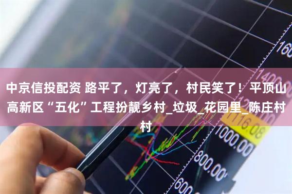 中京信投配资 路平了，灯亮了，村民笑了！平顶山高新区“五化”工程扮靓乡村_垃圾_花园里_陈庄村