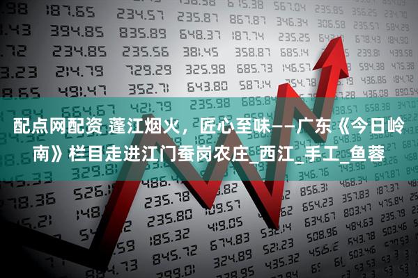 配点网配资 蓬江烟火，匠心至味——广东《今日岭南》栏目走进江门蚕岗农庄_西江_手工_鱼蓉
